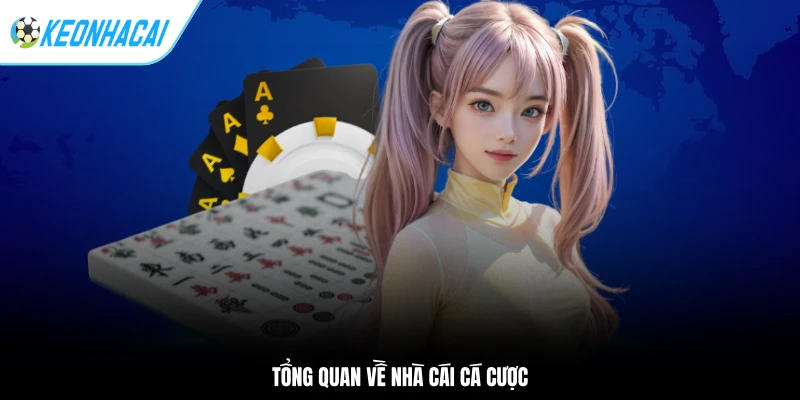 Tổng quan về nhà cái cá cược