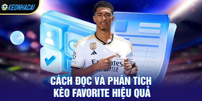 Cách đọc và phân tích kèo favorite hiệu quả