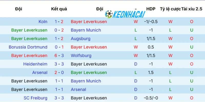 Thành tích Leverkusen